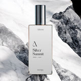 Silver Summit